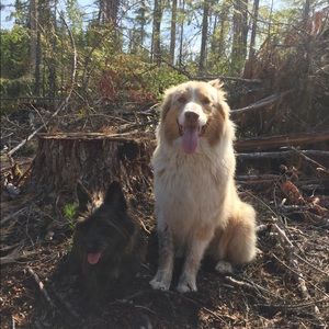 Meet your Posher, Allyce